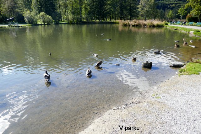 P1090171.JPG