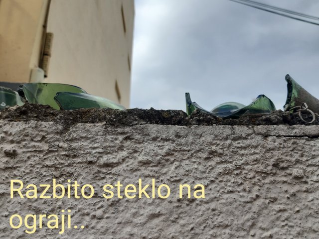 20211106_160048.jpg