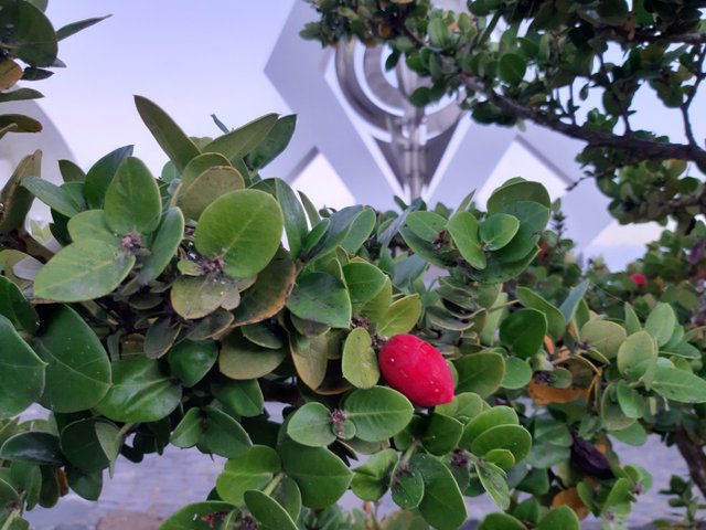 20211107_181555.jpg