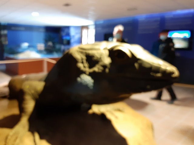 20211108_095732.jpg