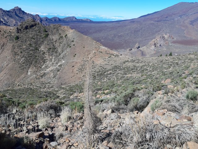 20211108_115759.jpg