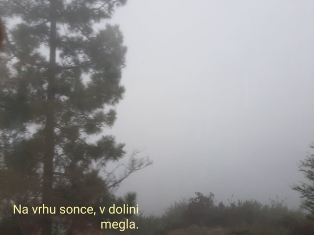 20211108_181207.jpg