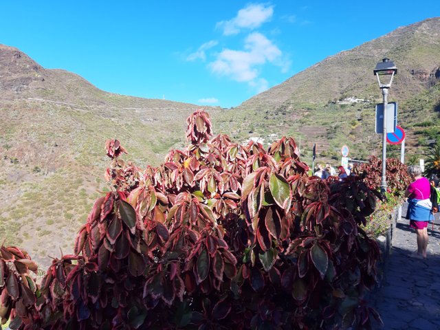 20211109_100326.jpg