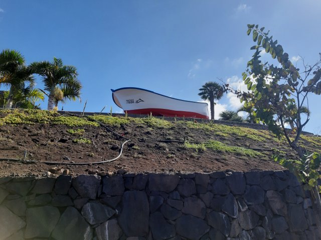 20211109_120559.jpg