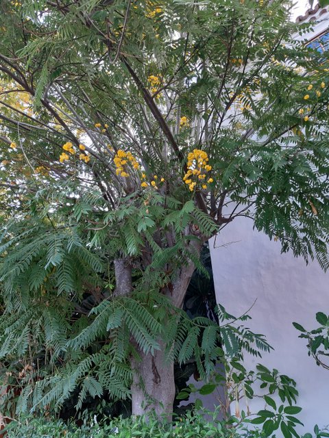 20211109_170810.jpg