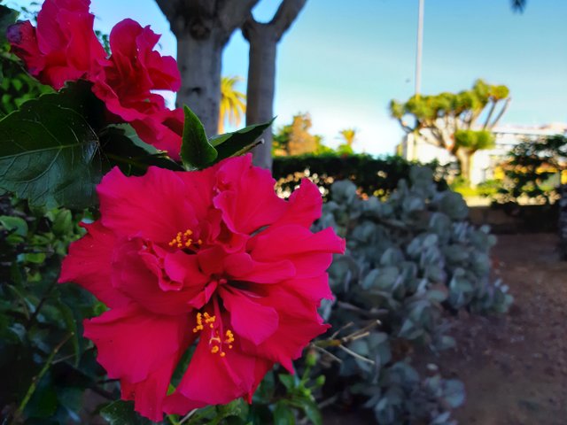 20211113_090913.jpg