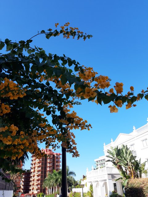 20211113_112036.jpg