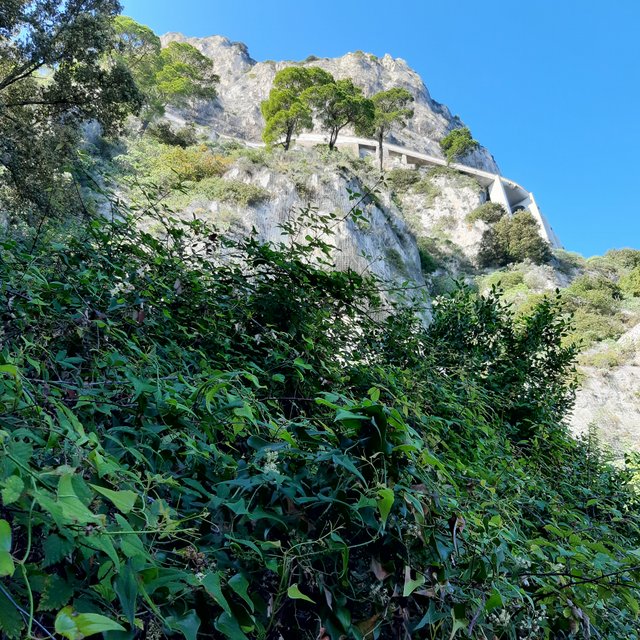 20221024_101448.jpg