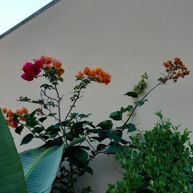20221024_144942.jpg