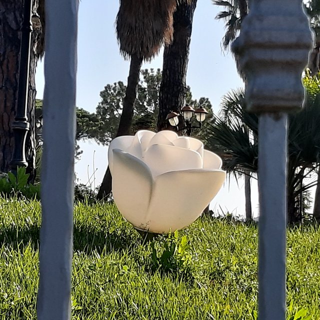 20221025_095432.jpg