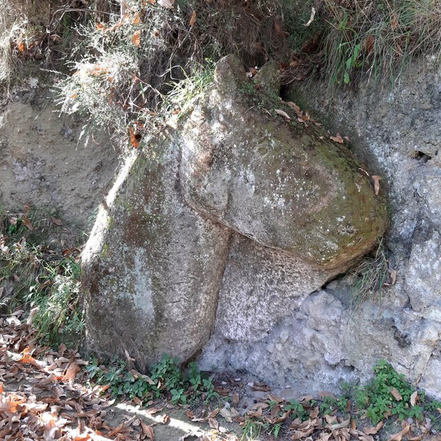 20221026_135216.jpg