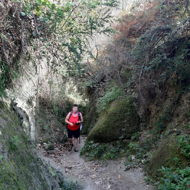 20221026_140159.jpg