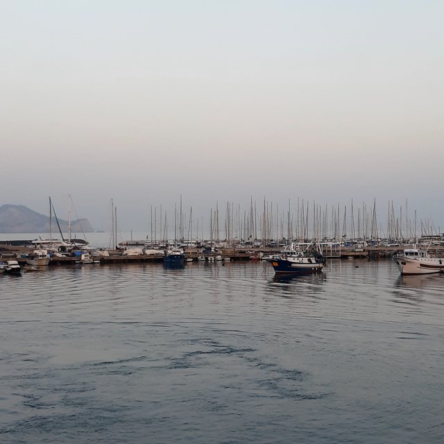 20221026_175116.jpg