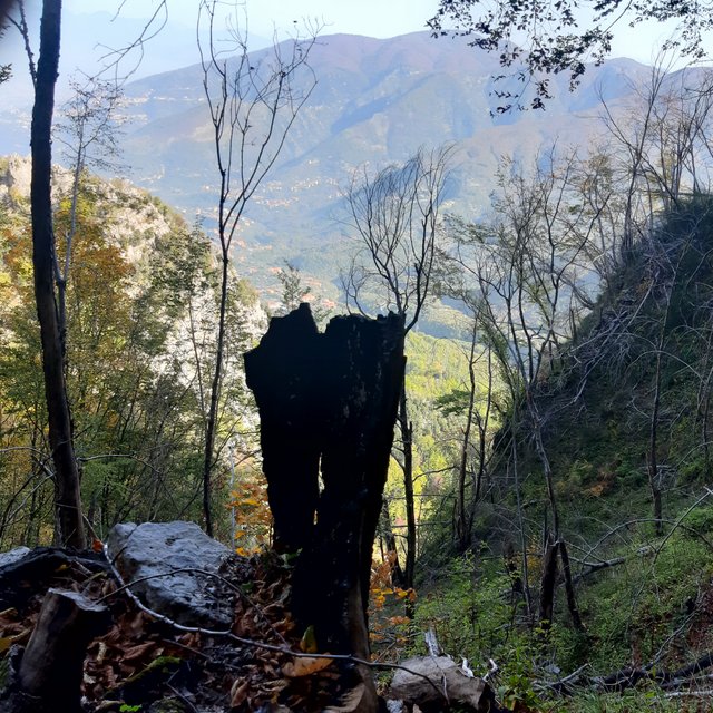 20221027_112918.jpg