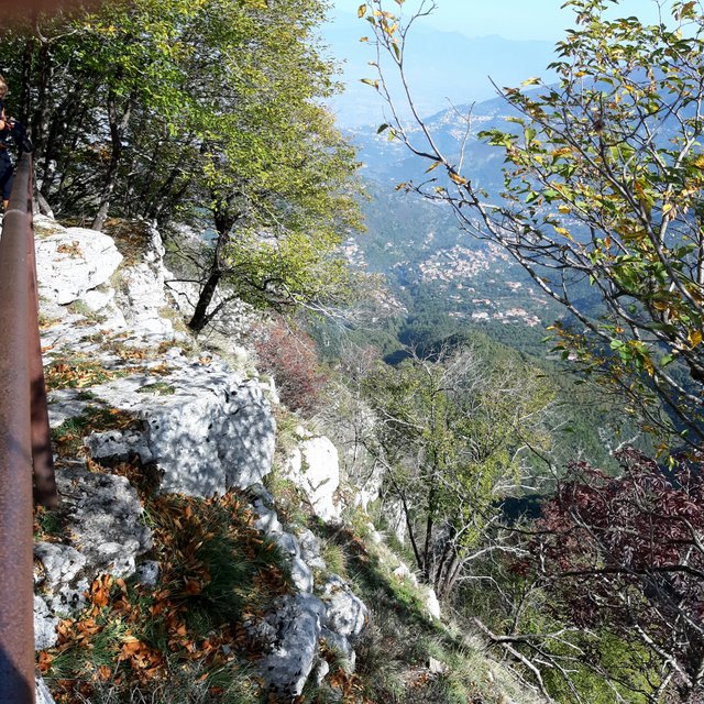 20221027_114146.jpg