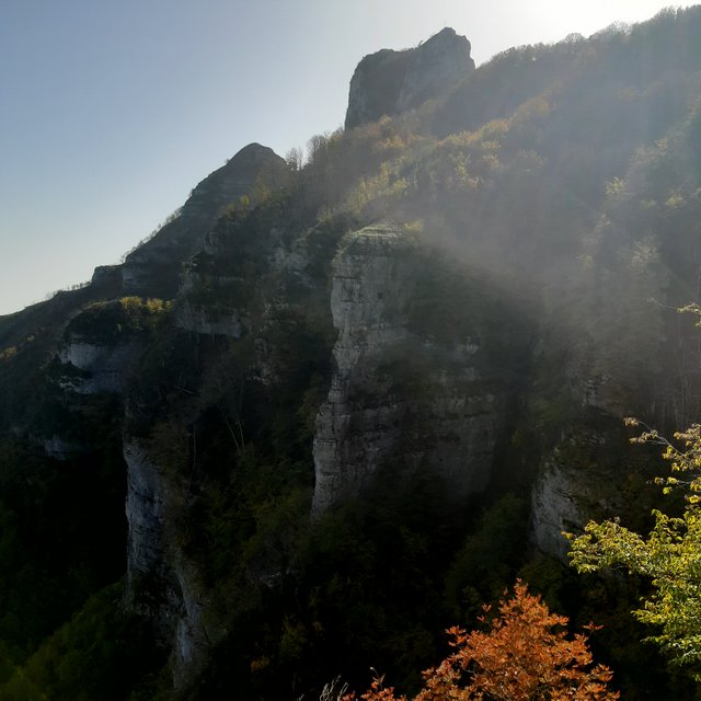 20221027_114325.jpg