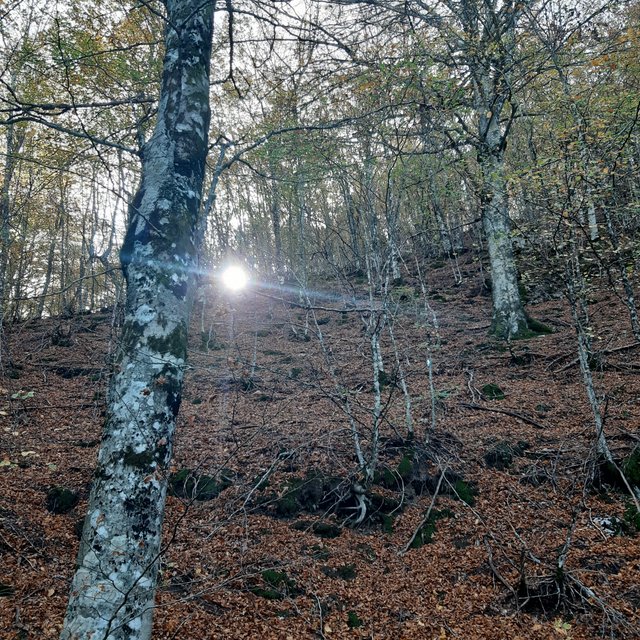 20221027_120348.jpg