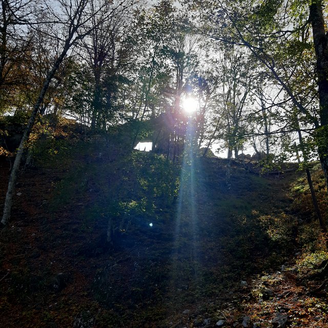 20221027_121123.jpg