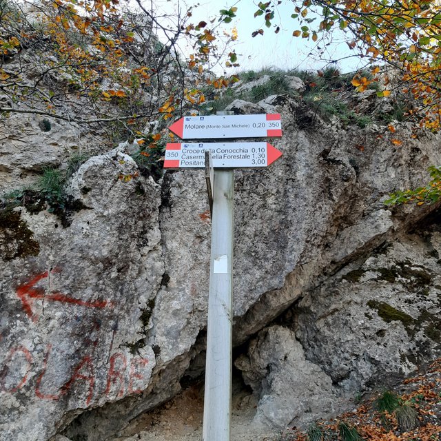 20221027_121435.jpg