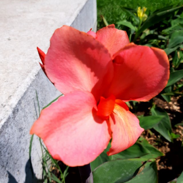 20230518_140816.jpg