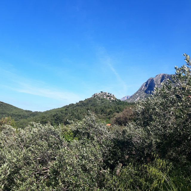 20230519_085128.jpg