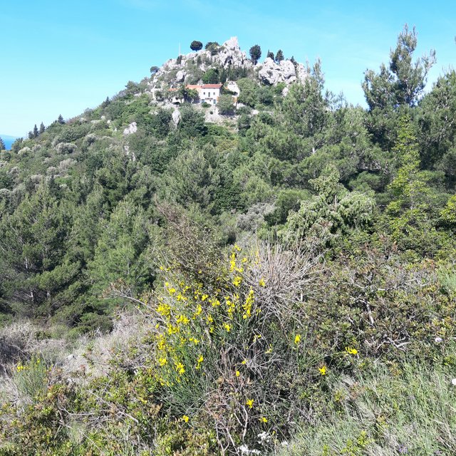 20230519_090658.jpg