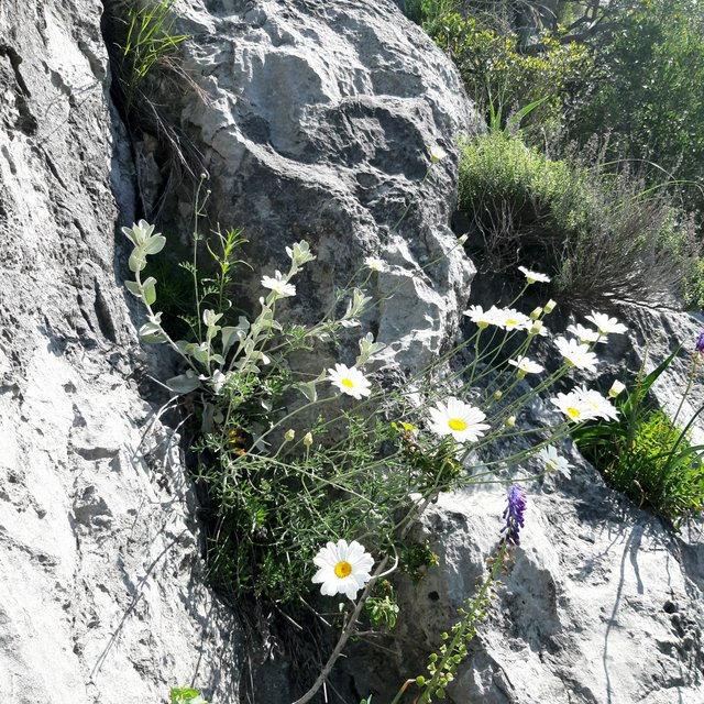 20230519_095502.jpg