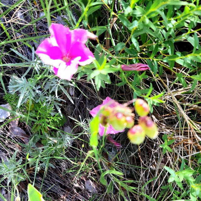 20230519_101705.jpg