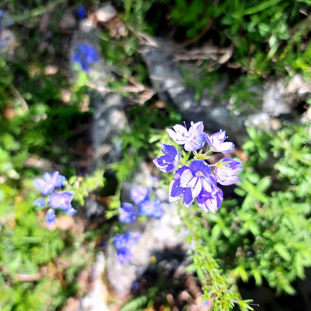 20230519_103938.jpg