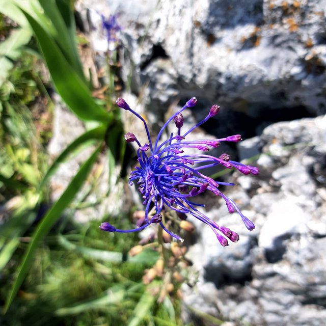 20230519_111632.jpg