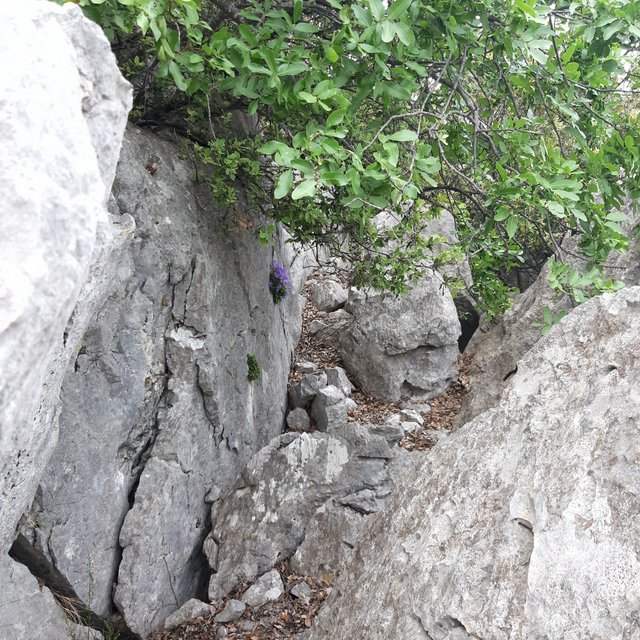 20230520_091002.jpg