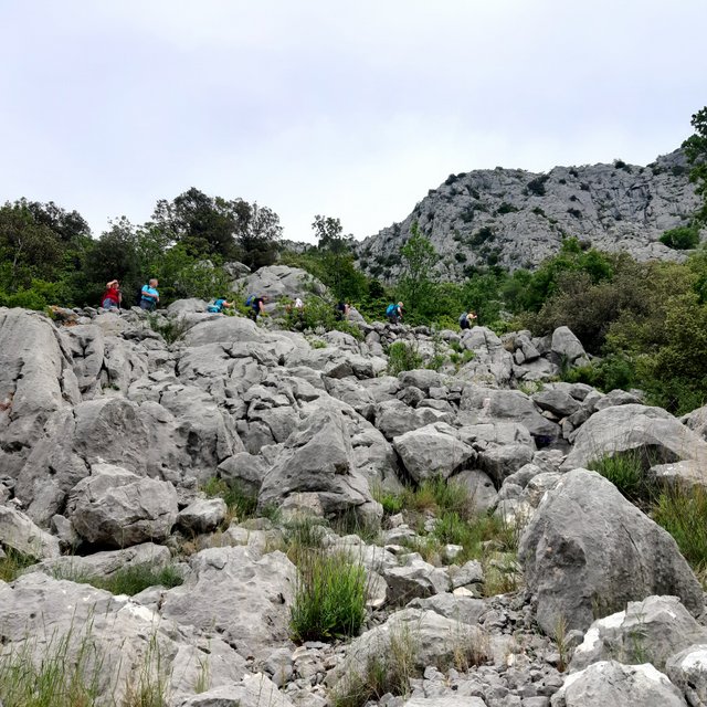 20230520_091227.jpg