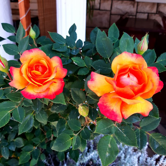 20230521_092616.jpg