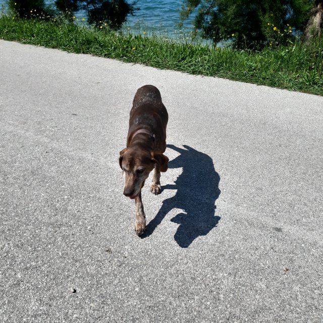 20230521_104204.jpg
