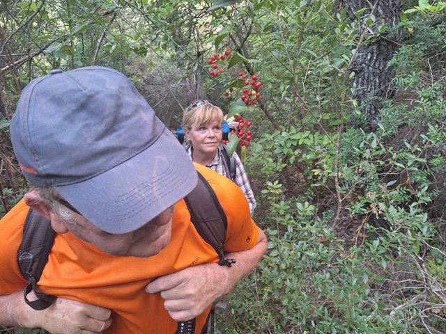 20230918_102845.jpg