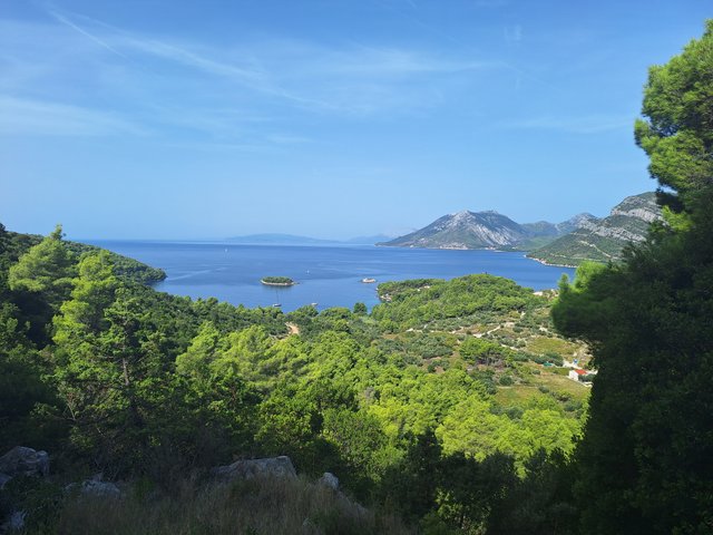 20230918_103039.jpg