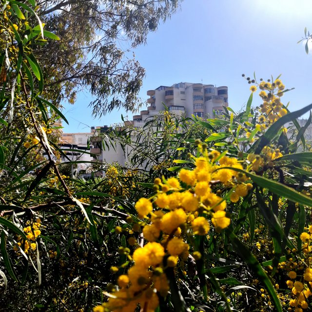 20230318_152055.jpg