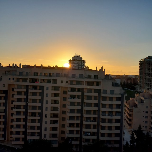 20230318_182622.jpg
