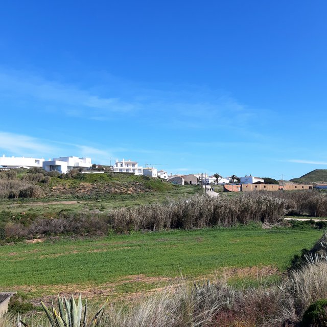 20230319_153945.jpg