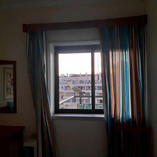 20230319_183826.jpg