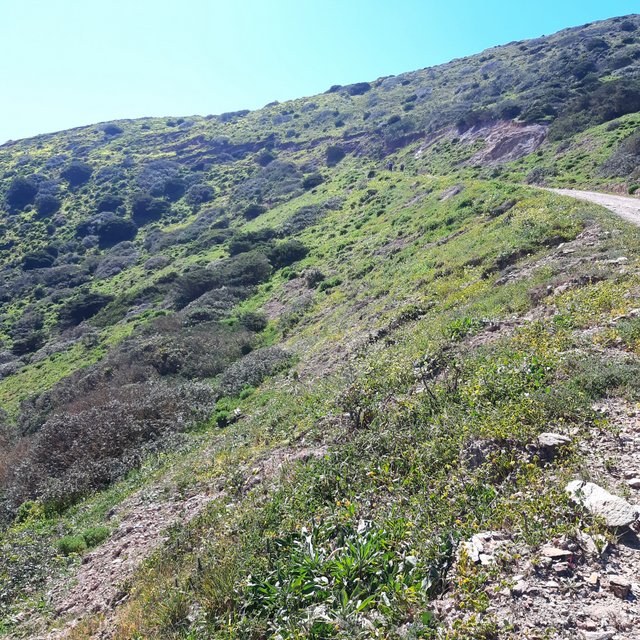 20230320_114811.jpg