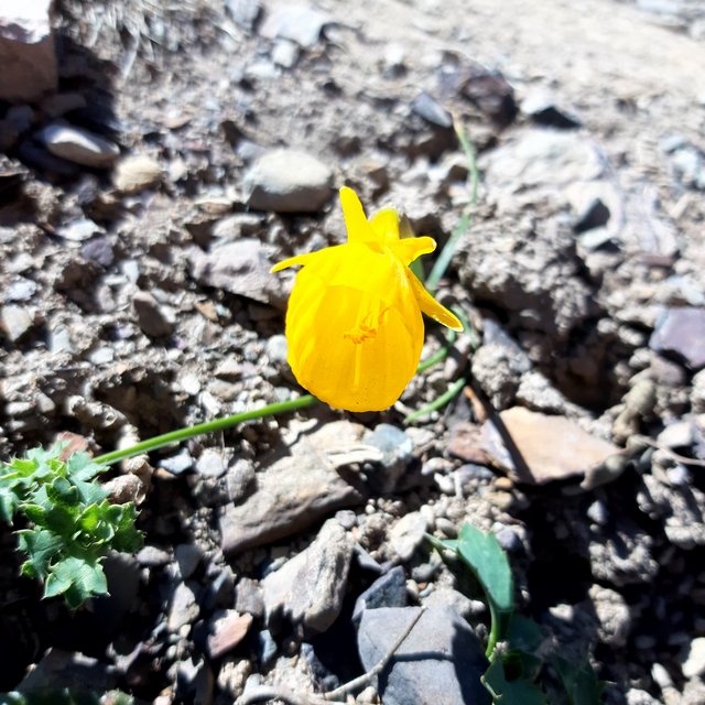 20230320_125423.jpg