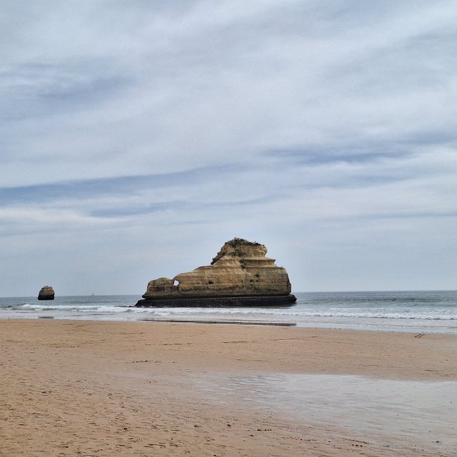 20240316_130229.jpg