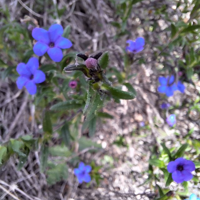 20240317_115143.jpg