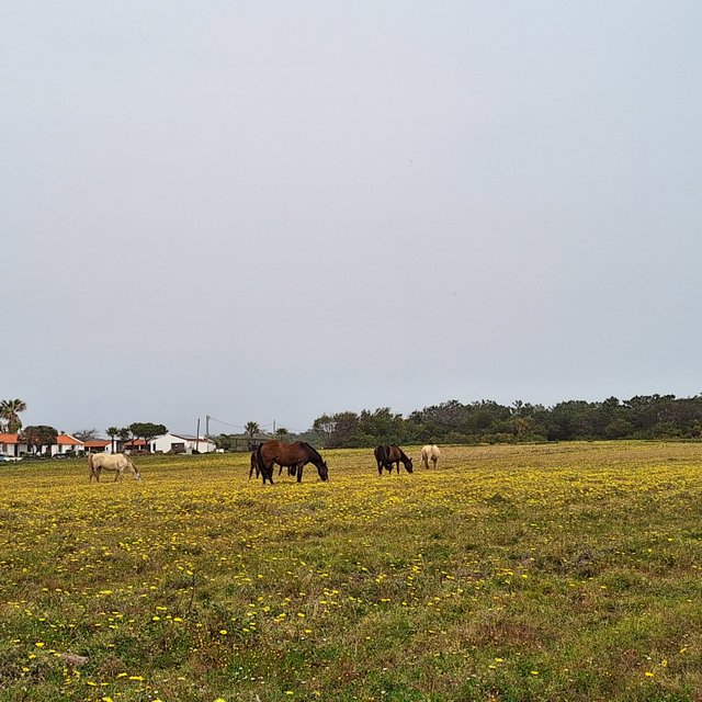 20240318_124746.jpg