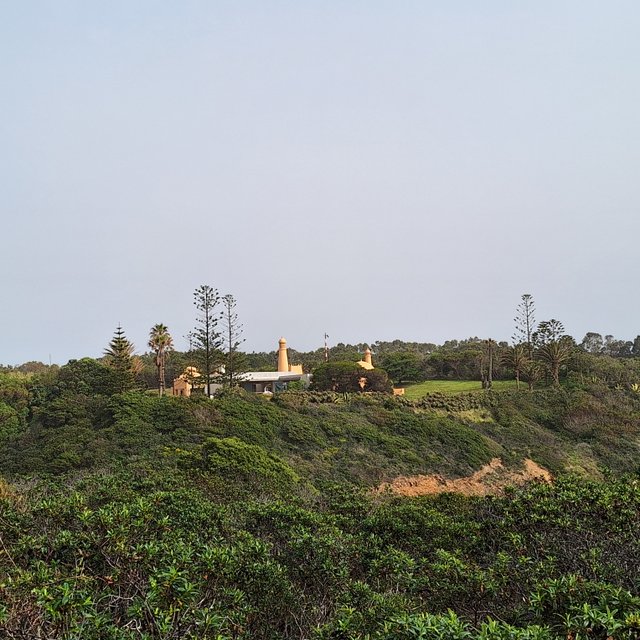 20240318_152830.jpg