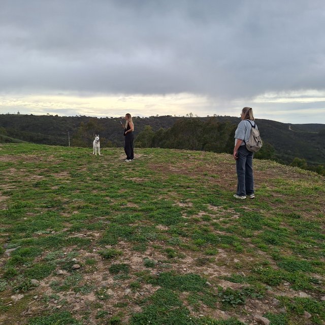 20240320_155344.jpg