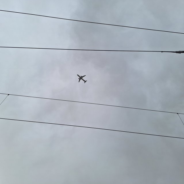 20240322_100919.jpg