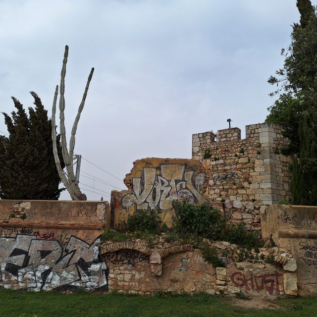 20240322_113637.jpg