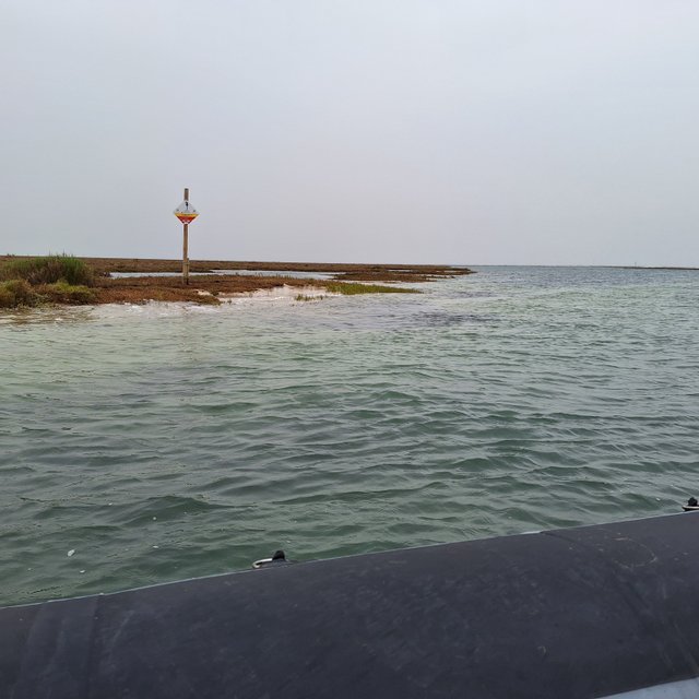 20240322_145713.jpg